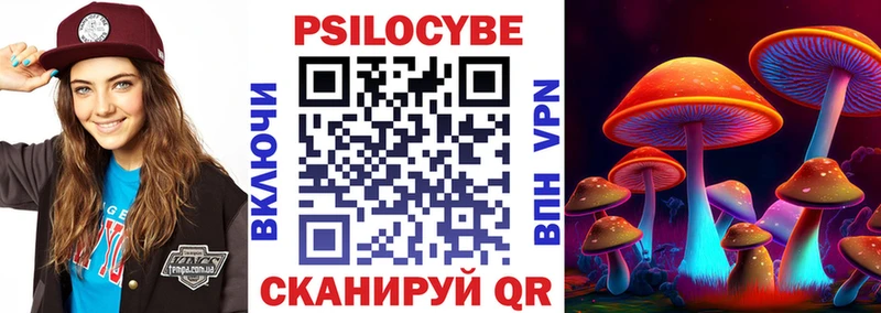 дарнет шоп  Долинск  Галлюциногенные грибы Psilocybine cubensis 